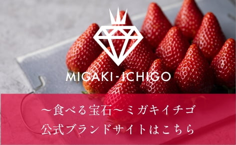 食べる宝石 ミガキイチゴ 公式ブランドサイトはこちら