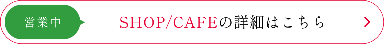 ボタン